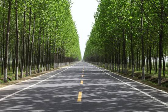 公路、綠化、廣場(chǎng)工程