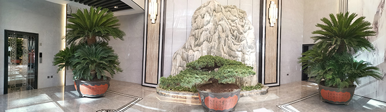 公司辦公環(huán)境